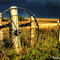 Ranch along east plain of Colorado Springs - Dan Aquino
