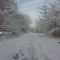 Running Path
