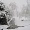 Prairieville, Louisiana "Cajun Sneaux"