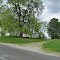 old place & tree