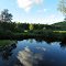 meadowview #1