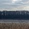 Mud Lake, Leonidas, MI