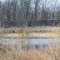 Mud Lake in Leonidas