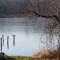Thin ice on Leatherberry Lake