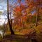 Fall on Turnback Creek