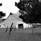 Barn