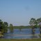 Lake Caddo Coastline