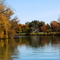 Fall on the Erie Canal