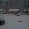 Snow on Linwood Avenue