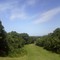 overlook of east cleveland in forest hills park