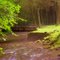 Swift Run
