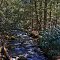 Stream