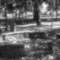 Circle of Stones