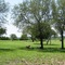 Mission Retama Cemetery