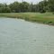 Olympia Hills #15
