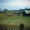 Barn 2