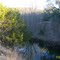 Jacobs Creek