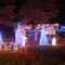 The Dancing Lights of Lake Monticello