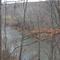 Rivanna River from the Fluvanna Trail