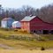 Horses and Barns
