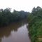 Yadkin River as seen from Elkin bridge.