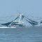 Shrimp Boat