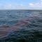 Oil slick in Gulf of Mexico
