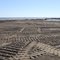 East Grand Terre oil cleanup