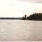Loons on Lower Jo-Mary Lake