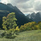 Maroon Creek road fall view