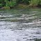 River Chattachoochee .GA .u.s