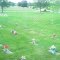 Gardens of Memory Cemetery - Garden of Hymns