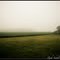 Morning Fog