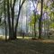Mississinewa 1812 Encampment