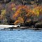 Long Island 8.JPG