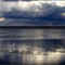 Distant Thunder