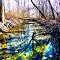 Backwoods Stream