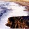 Elmer's Island
