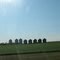 Eight silos off 85
