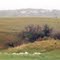 White Butte