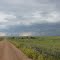 Country Road in Rural North Dakota