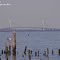 Verrazanos Narrows Bridge from Keyport