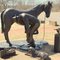 Shoeing Statue