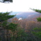 Serenity Rock