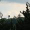 Fire Tower Cook Forest State Park, Pennsylvania