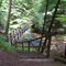 Liggett Trail over Tom's Run