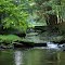 Cathers Run