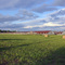 Sunset on the Chicken coop