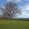 Albemarle Farm in the Spring