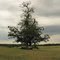 Summer lunch under the tree - Shenandoah National Park